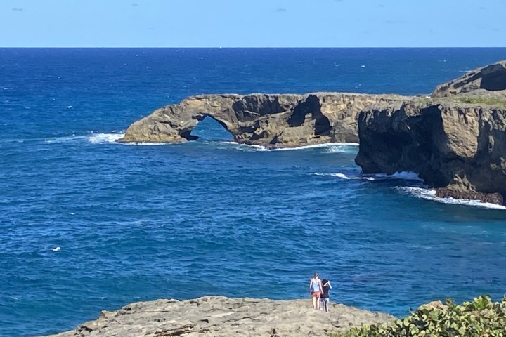 a group of people on a rocky beach next to the ocean