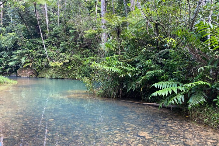 a close up of a pond